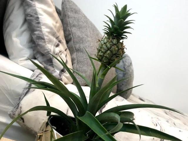 Room for rent in Burnley, Lancashire