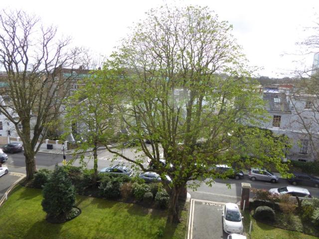 Apartment for rent in Chalk Farm, Primrose Hill