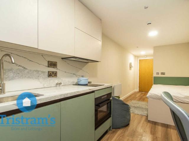 Studio for rent in The Meadows, Haddon