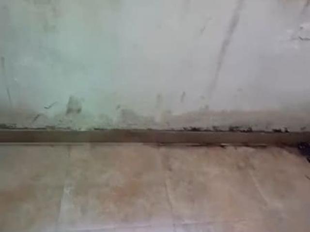 Flat for rent in Zirakpur, Punjab