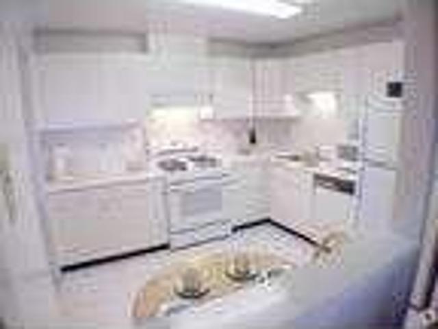 House for rent in Elk Grove Village