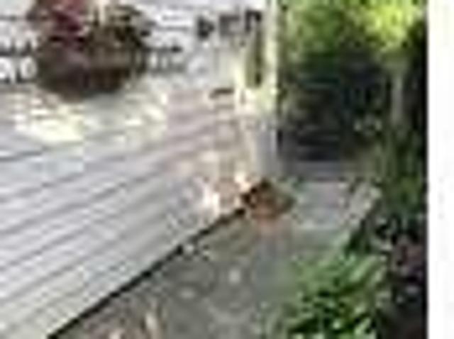 House for rent in Nassau, New York