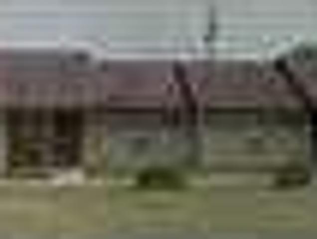House for rent in San Patricio, Texas