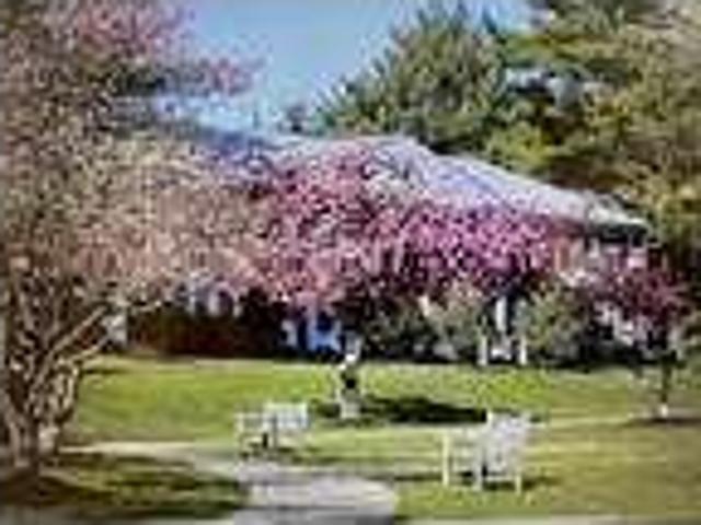 House for rent in Millburn, New Jersey