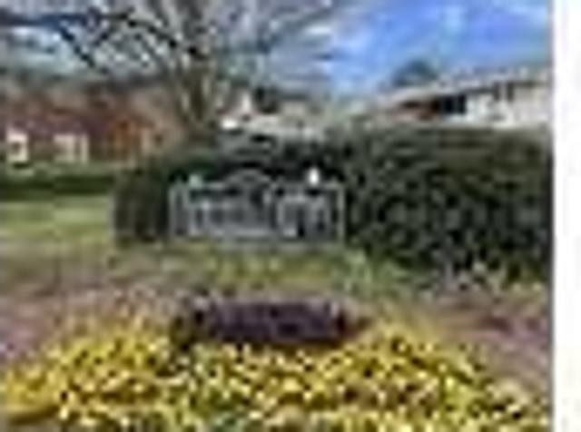 House for rent in Raleigh, Illinois
