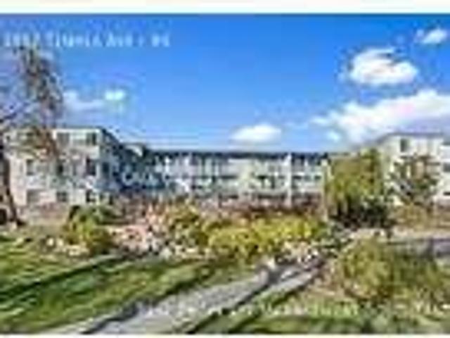 House for rent in Signal Hill, California