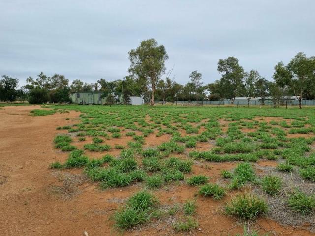 Apartment for rent in Ross, Northern Territory