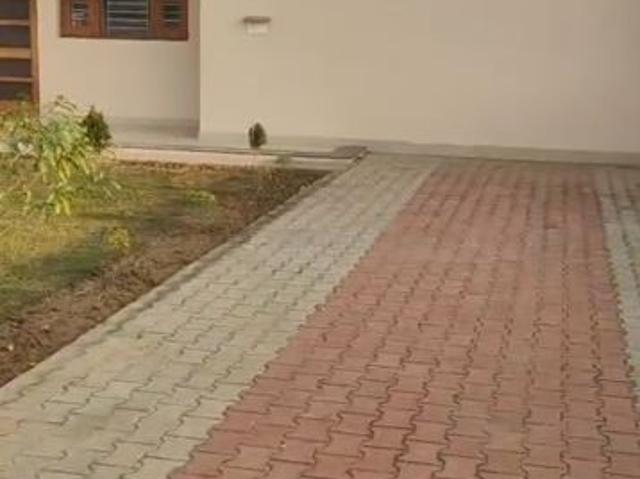 Property for rent in Mohari, Punjab