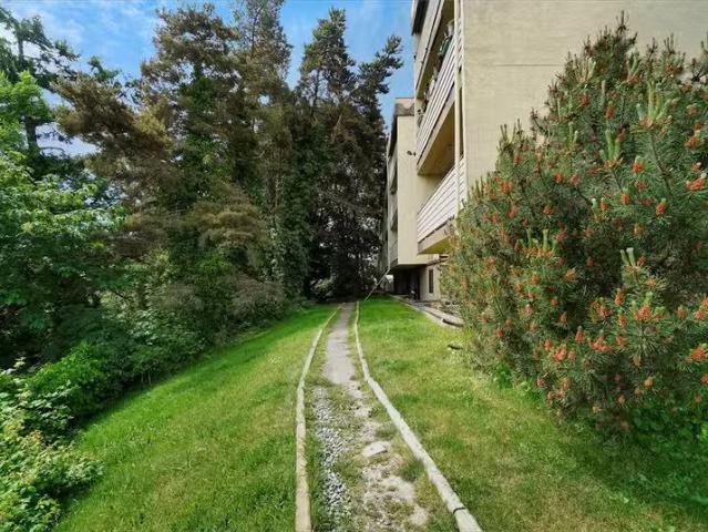 Condo for rent in Victoria, British Columbia