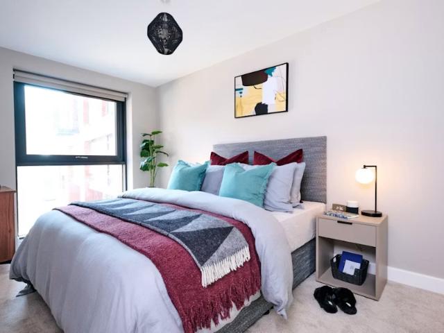 Apartment for rent in The Meadows, Haddon