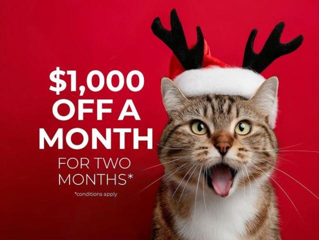 Apartment for rent in Strathcona, British Columbia