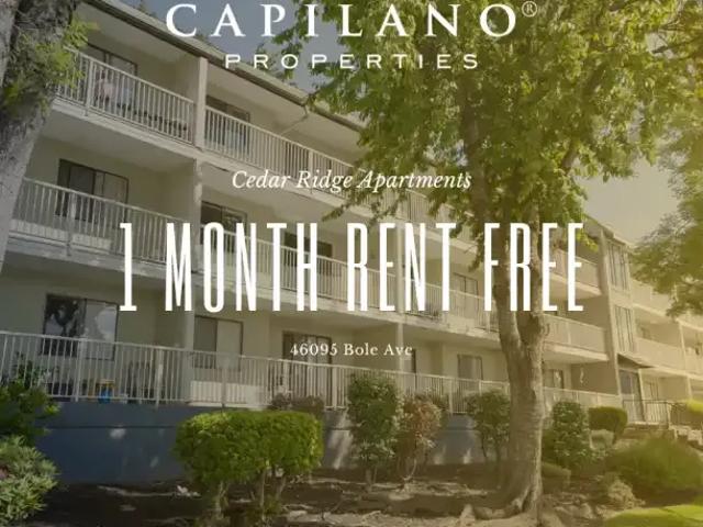 Apartment for rent in Chilliwack, British Columbia
