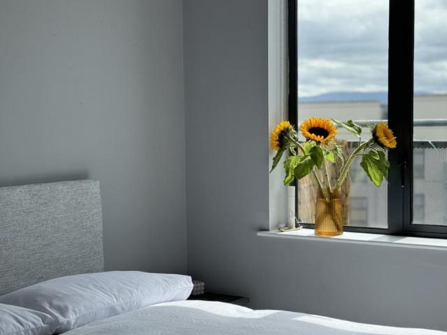 Apartment to rent in Bluebell, North Tipperary