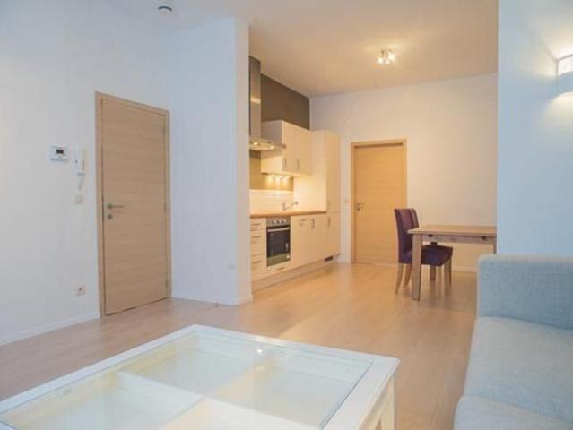 Kot location à Desteldonk, Oost-Vlaanderen