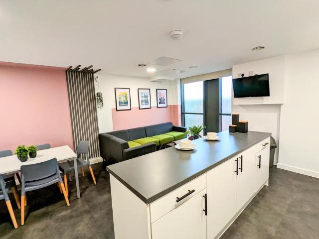 Apartment for rent in Calthorpe Fields, West Midlands