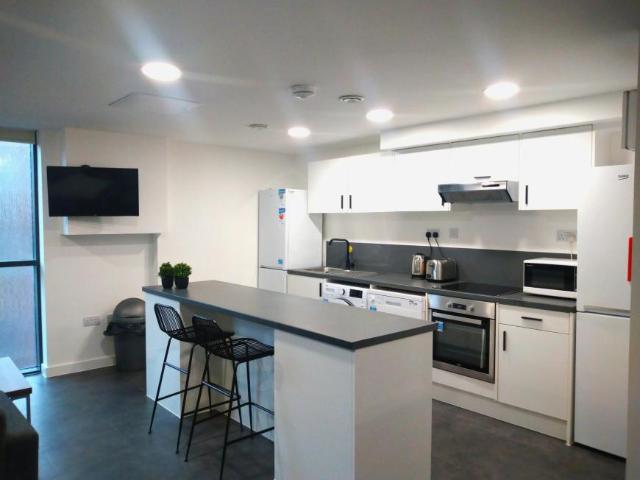 Apartment for rent in Calthorpe Fields, West Midlands