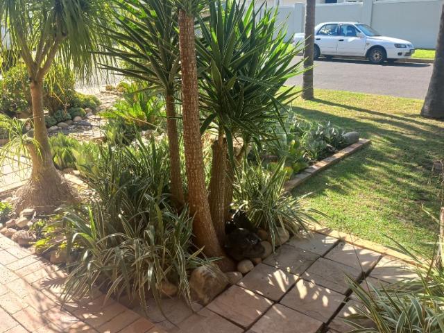 Apartment for rent in Durbanville, Western Cape
