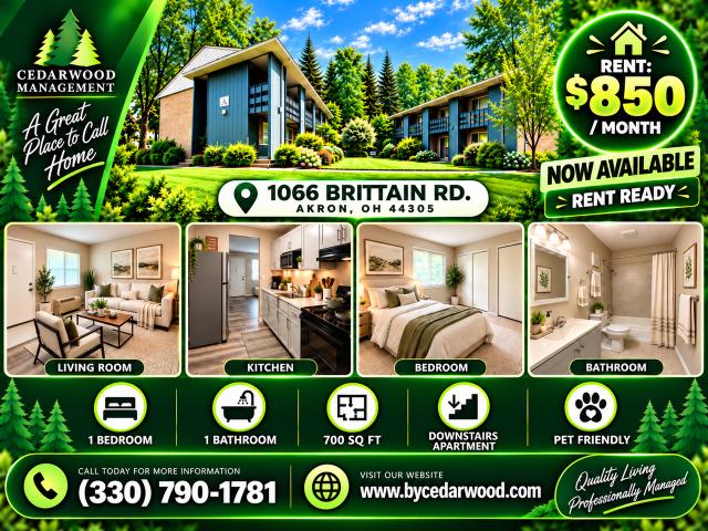 Apartment for rent in Brittain, Akron