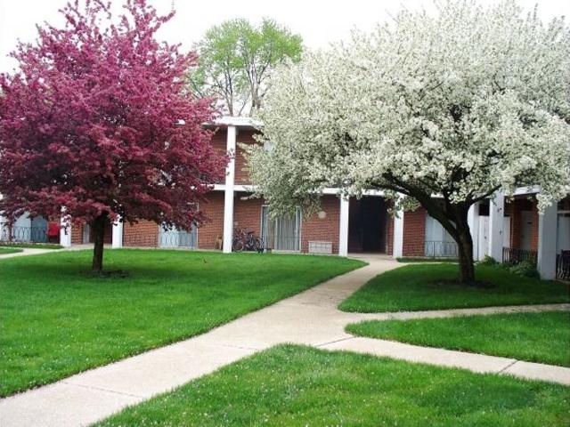 Apartment for rent in Illinois