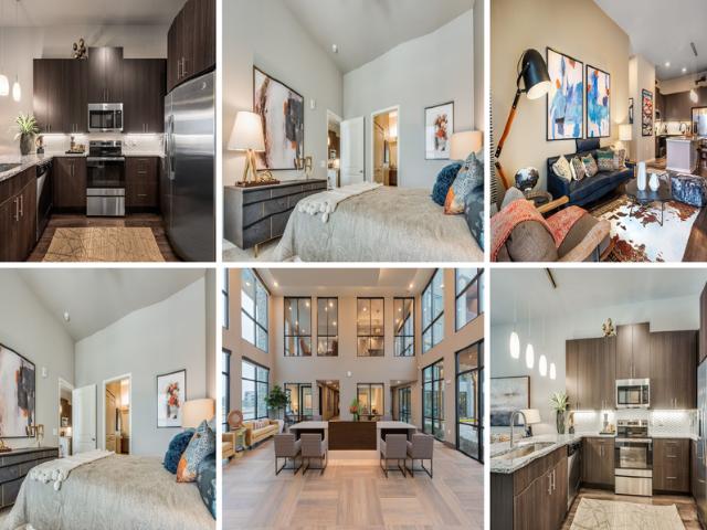 Apartment for rent in Dallas, Texas