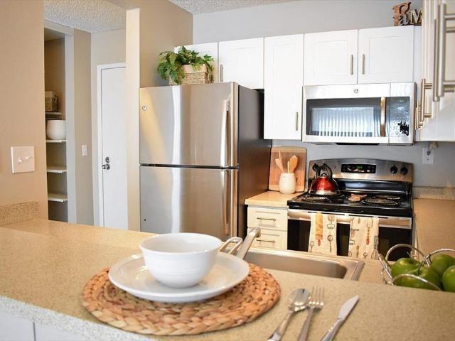 Apartment for rent in Santa Rosa, California