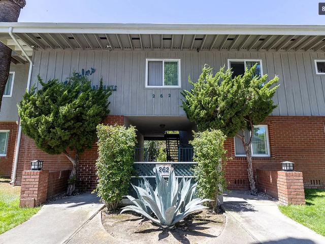 Apartment for rent in Mountain View, California