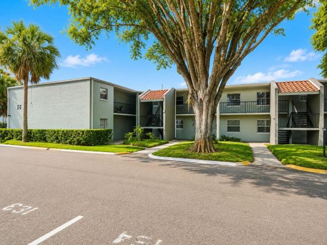 Apartment for rent in Tampa, Florida
