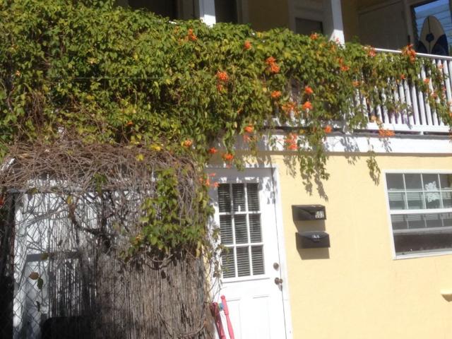 Apartment for rent in Clearwater, Florida