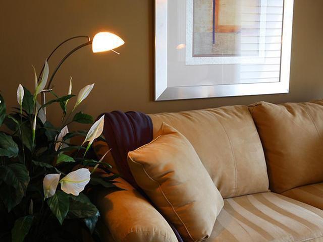 Apartment for rent in Sterling Heights, Michigan