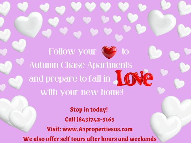 Apartment for rent in Myrtle Beach, South Carolina