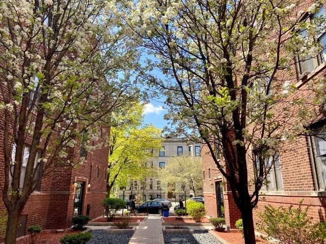 Apartment for rent in Chicago Park, Illinois