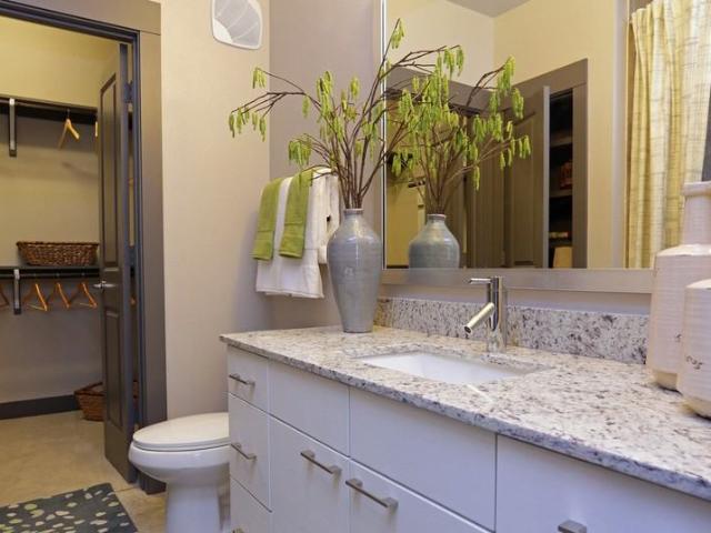 Apartment for rent in Dallas, Texas