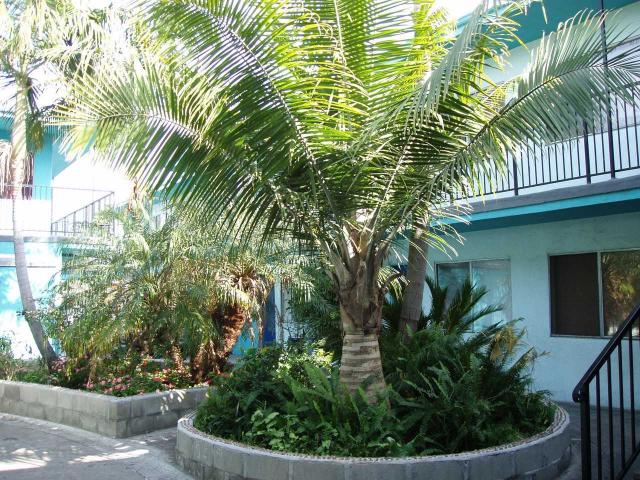 Apartment for rent in Long Beach, California