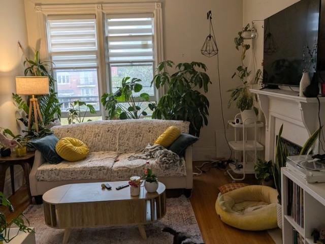 Apartment for rent in Arva, Ontario