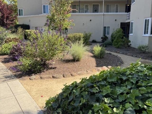 Apartment for rent in San Mateo, California
