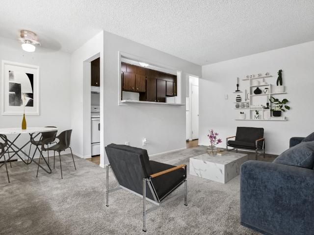 Apartment for rent in Arapahoe, Colorado