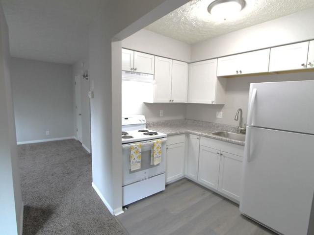 Apartment for rent in Bellevue