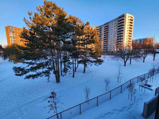 Apartment for rent in Mulhurst Bay, Ontario