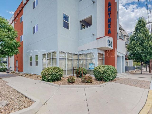 Apartment for rent in New Mexico