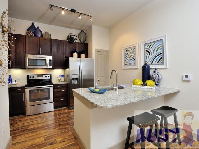 Apartment for rent in Austin, Texas