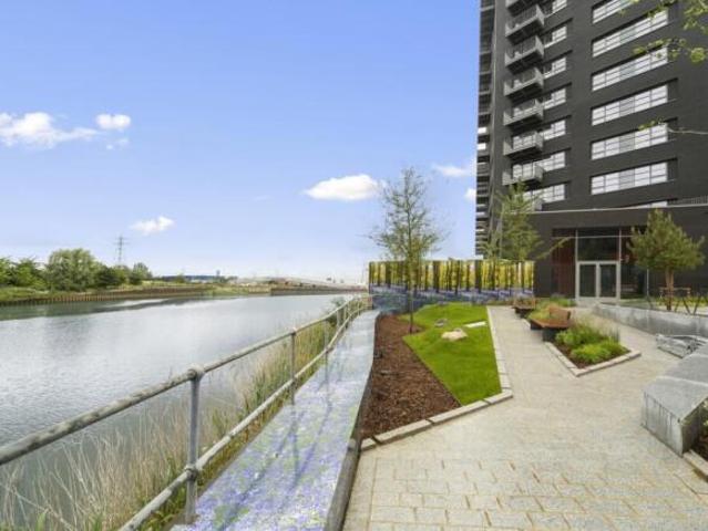 Apartment for rent in Cat Hill