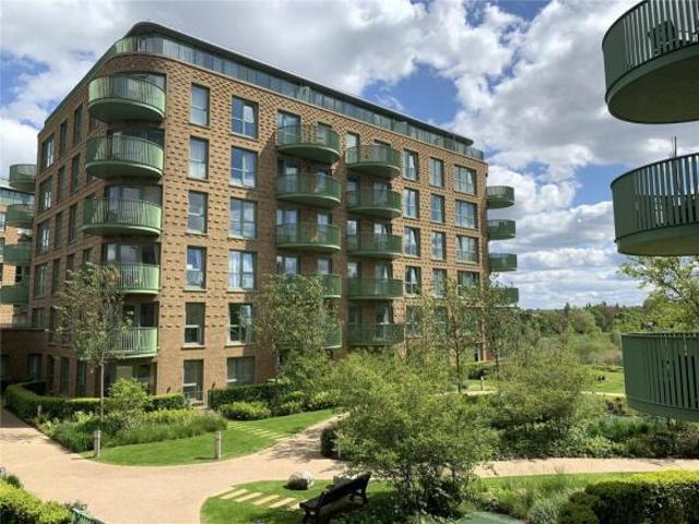 Apartment for rent in Cat Hill