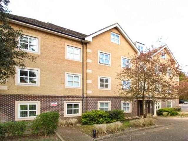 Apartment for rent in Cat Hill