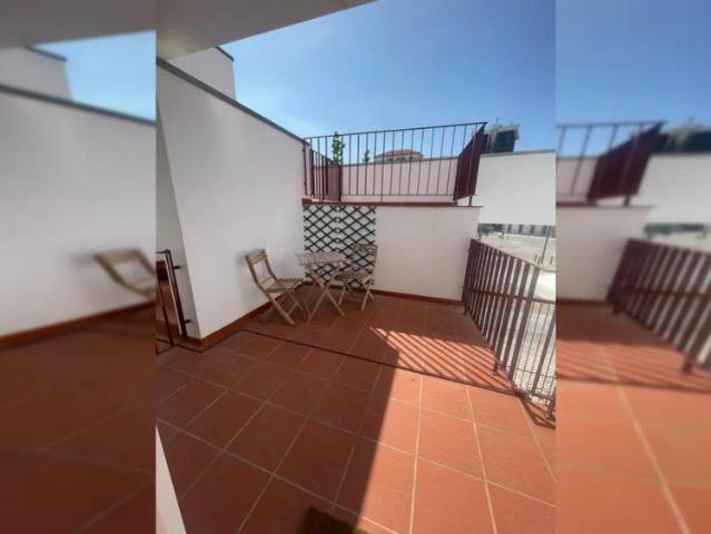 Apartamento alugar em Coimbra (Sé Nova, Santa Cruz, Almedina e São Bartolomeu), Coimbra
