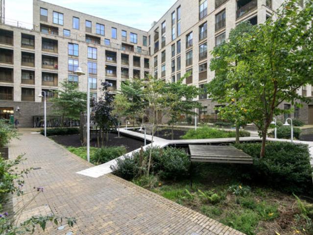 Apartment for rent in Cat Hill
