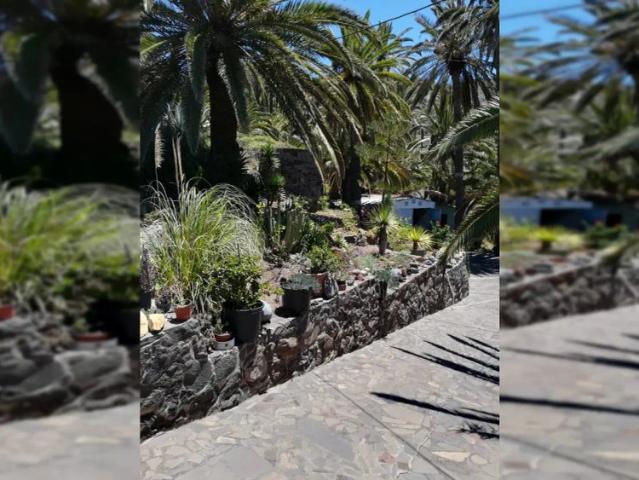 Apartamento en alquiler en Santa Cruz De Tenerife, Canarias