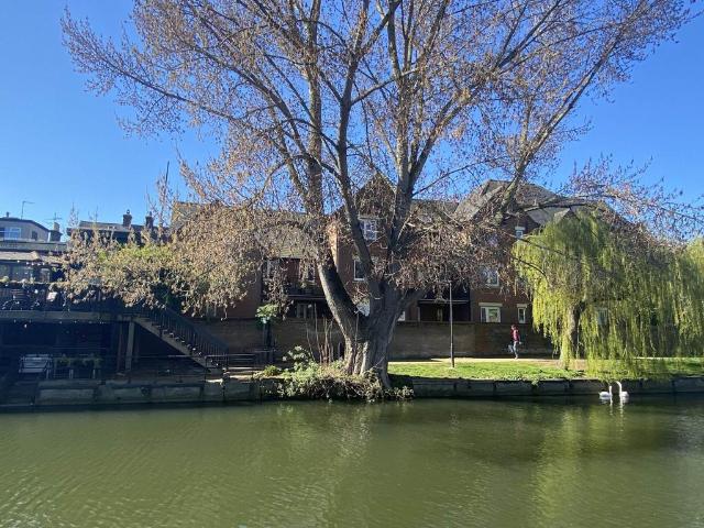 Flat for sale in East Bank, Norfolk