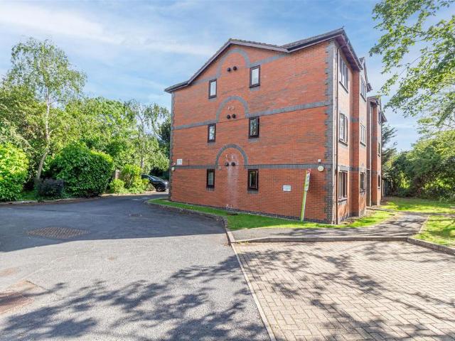 Flat for sale in St. Peter the Great County, St Peters