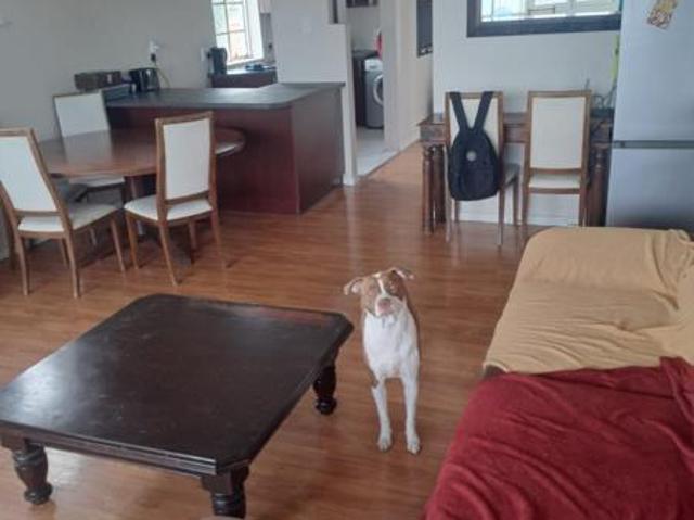 Apartment for rent in Cape Town, Western Cape