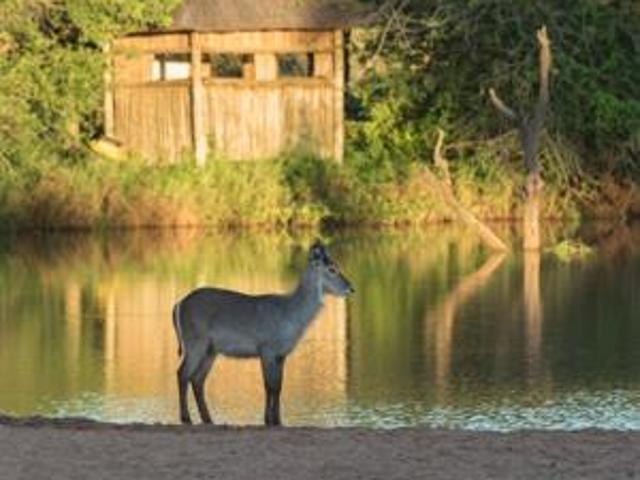 Apartment for rent in Mopani, Limpopo